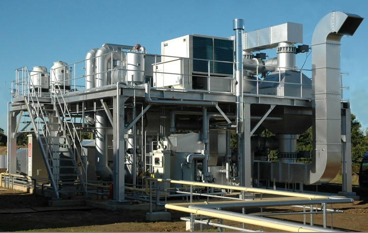 Ũ������